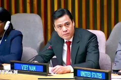 L’ambassadeur Dang Hoang Giang, chef de la Mission permanente du Vietnam auprès des Nations Unies (ONU), prononce un discours lors de la réunion. Photo : VNA