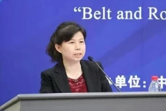 La professeure Liu Ying de l’Institut d’études financières de Chongyang à l’Université Renmin de Chine. Photo: VNA