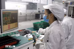 Le Vietnam est considéré comme un pays doté de nombreuses opportunités et des facteurs nécessaires au développement de l'écosystème de l'industrie des semi-conducteurs. Photo: VNA