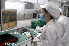 Le Vietnam est considéré comme un pays doté de nombreuses opportunités et des facteurs nécessaires au développement de l'écosystème de l'industrie des semi-conducteurs. Photo: VNA