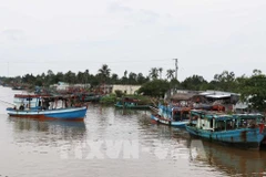 La gestion et la surveillance des bateaux de pêche se renforcent dans la province de Cà Mau. Photo : VNA