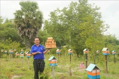 Nguyên Trung Thành montrant une ruche d'abeille dans son jardin. Photo: VNA