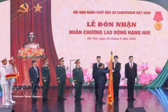Le vice-président du Comité central du Front de la Patrie du Vietnam, Nguyên Phi Long remet l’Ordre du Travail de deuxième classe à l’Association des victimes de l’agent orange/dioxine du Vietnam (VAVA). Photo : VNA