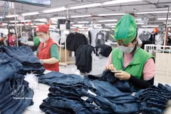 Le secteur du textile et de l'habillement au Vietnam reste un pilier majeur de l'économie nationale, avec des exportations s'élevant à près de 19 milliards de dollars au premier semestre de 2026. Photo : VNA