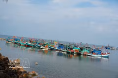 Des bateaux de pêcheurs mouillent dans les eaux de Hà Tiên, province de An Giang. Photo : VNA
