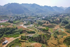 Le plateau karstique de Dông Van. Photo : tienphong.vn