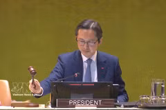 Le président de la conférence, l’ambassadeur Dô Hung Viêt, chef de la Mission permanente du Vietnam auprès de l’ONU, déclare terminée la 11ᵉ Conférence d’examen du traité de non-prolifération nucléaire. Photo : VNA