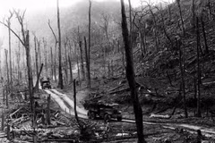 Le tristement célèbre agent orange contenant de la dioxine, l’un des produits toxiques les plus puissants, déversé massivement par les troupes américaines pendant le conflit, continue à faire des dégâts. Photo: VNA