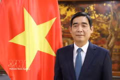 L’ambassadeur du Vietnam en Thaïlande, Pham Viêt Hung. Photo : VNA
