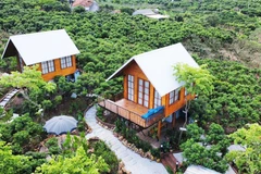Windy Hills se prépare à accueillir ses visiteurs pour la saison des litchis. Photo : baobacgiang