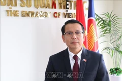 L’ambassadeur du Vietnam en Nouvelle-Zélande Nguyên Van Trung. Photo : VNA