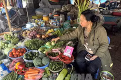 Un étal de fruits et légumes au marché Nga Tu So, dans le quartier de Dông Da, à Hanoi. Photo : VNA