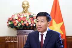 Le vice-ministre vietnamien des Affaires étrangères, Nguyên Manh Cuong. Photo : VNA