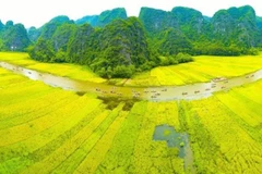 La beauté de Tam Côc - Bich Dông, à Ninh Binh, séduit les touristes, mais aussi les photographes. Photo : VNA