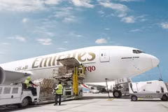 Emirates SkyCargo a transporté 13.873 tonnes de marchandises diverses en provenance du Vietnam au cours de l'exercice 2024-2025. Photo : gracieuseté d’Emirates SkyCargo