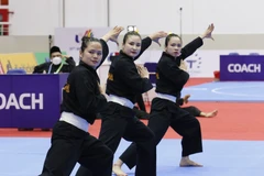 Le pencak silat est devenu l’une des disciplines les plus prolifiques en médailles d’or pour le Vietnam aux SEA Games avec le wushu, le taekwondo et le karaté. Photo: thanhnien.vn