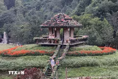 Plus de 30 variétés de fleurs différentes sont plantées dans la zone écotouristique de Thung Nham dans la province de Ninh Binh. Photo : VNA