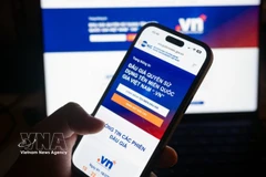 Le Vietnam a organisé avec succès sa première vente aux enchères de vente aux enchères de noms de domaine « .vn » du 18 au 20 mars. Photo : VNA