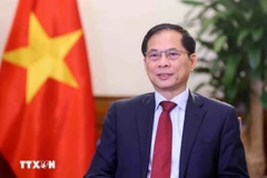 Le vice-Premier ministre et ministre des Affaires étrangèrs Bui Thanh Son. Photo : VNA