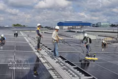 Des techniciens intallent des panneaux solaires sur des toitures à Cà Mau (Sud). Photo: VNA