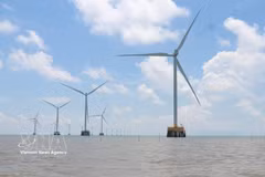Le projet de centrale éolienne de Tân Thuân (phases 1 et 2), dans la commune éponyme de la province de Cà, a une capacité totale de 75 MW, comprenant 18 tours de turbines éoliennes. Photo : VNA
