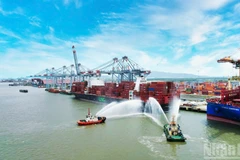 Vue panoramique du complexe portuaire de Cai Mep-Thi Vai, l'un des plus grands complexes portuaires en eau profonde d'Asie du Sud-Est. Photo : NDEL