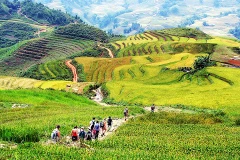 Dans le nord-ouest du Vietnam, Lào Cai dévoile ses rizières en gradins, sculptées avec art par les ethnies H’mông et Dao rouges. Photo: ST