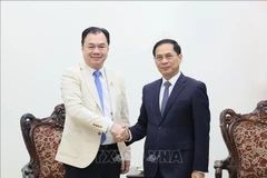 Le vice-Premier ministre Bui Thanh Son (à droite) serre la main de Kounlaphanh Vongnathy, vice-président du groupe Phongsupthavy. Photo : VNA