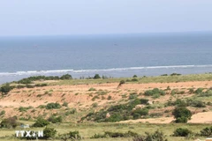 Le site choisi pour la construction de la centrale nucléaire de Ninh Thuân 1, dans la commune de Phuoc Dinh. Photo : VNA