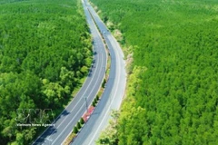 Avec un parcours "touchant la mer et traversant la forêt" et la participation de partenaires de mobilité verte tels que VinFast et Xanh SM, le VnExpress Marathon Green Paradise Cân Gio est la course présentant le parcours le plus écologique du système VnExpress Marathon. Photo : VNA