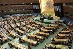 Vue de la session plénière visant à élire les membres du Conseil des droits de l'homme des Nations Unies pour le mandat 2026-2028. Photo: VNA