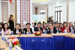 Lors de l’événement, à Quang Tri, le 27 novembre. Photo : VNA