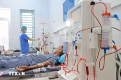 Un petit patient sous hémodialyse à l'hôpital général de la province de Hà Giang. Photo: VNA