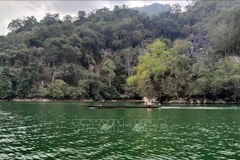 Le parc national de Ba Bê, dans la province montagneuse de Bac Kan (Nord), abrite une biodiversité extrêmement riche et plus de 10.000 ha d'étendues d'eau. Photo: VNA