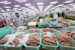 La reconnaissance officielle par le Département américain de l'Agriculture de l'équivalent du système vietnamien de contrôle de la sécurité alimentaire de poisson tra vietnamien exporté vers les Etats-Unis facilitera l’accès et l’expansion du marché pour les produits vietnamiens. Photo : VNA