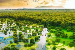 Le marché du carbone est appelé à jouer un rôle clé dans la lutte contre le changement climatique. Photo: Internet