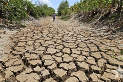 Le canal Suon, traversant la commune de Tân Tâp, district de Cân Giuôc, province de Long An, à sec en raison d’une sécheresse prolongée et de la salinité en 2024. Photo : qdnd.vn
