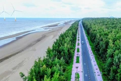 Le secteur touristique de Vinh Long s'efforce d'attirer les visiteurs nationaux et étrangers. Photo: laodong.vn