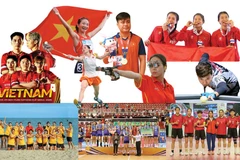 Le sport vietnamien signe une année historique de performances et de records. Photo : VNA