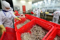 Transformation des produits aquatiques destinés à l'exportation chez la société par actions des produits aquatiques Cafatex Hau Giang. Photo : NDEL