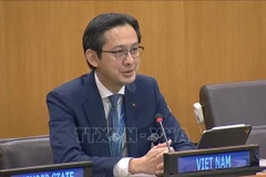 L’ambassadeur Dô Hung Viêt, eprésentant permanent du Vietnam auprès des Nations Unies et président désigné de la Conférence d’examen du TNP. Photo: VNA