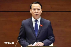 Le ministre de l’Agriculture et de l’Environnement Dô Duc Duy. Photo : VNA