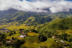 Niché dans une vallée verdoyante, le village de Ta Van offre une escapade sereine aux voyageurs en quête d’une ambiance montagnarde authentique. Photo : SCMP