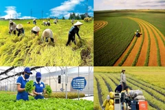 L’agriculture vietnamienne souhaite développer la circularité de ses pratiques, avec une large marge de progression. Photo: media.chinhphu.vn