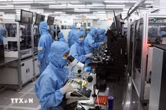 Ligne de production de modules de caméra et de composants électroniques dans l'usine de MCNEX VINA Co. Ltd, une entreprise à capitaux sud-coréens située dans le parc industriel de Phuc Son, province de Ninh Binh. Photo : VNA