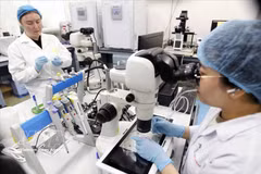 Les laboratoires vietnamiens bénéficient d'investissements croissants, couvrant aussi bien les consommables que les instruments spécialisés à haute valeur ajoutée. Photo : VNA