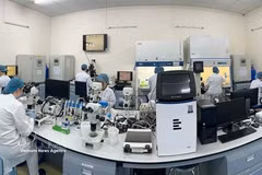Dans un laboratoire de biotechnologie de l'Université internationale rattachée à l'Université nationale du Viêt Nam à Hô Chi Minh-Ville. Photo : VNA