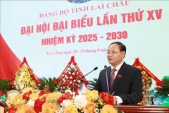 Le nouveau secrétaire du Comité du Parti de la province de Lai Châu, Lê Minh Ngân. Photo : VNA