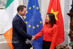 La vice-ministre des Affaires étrangères, Lê Thi Thu Hang (à droite) et le ministre d’État irlandais au ministère des Affaires étrangères et du Commerce, Neale Richmond, se serrent la main. Photo : VNA