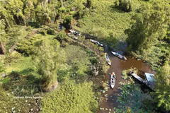 Vue aérienne d’une partie de la forêt de cajeputiers de Trà Su. Photo : VNA